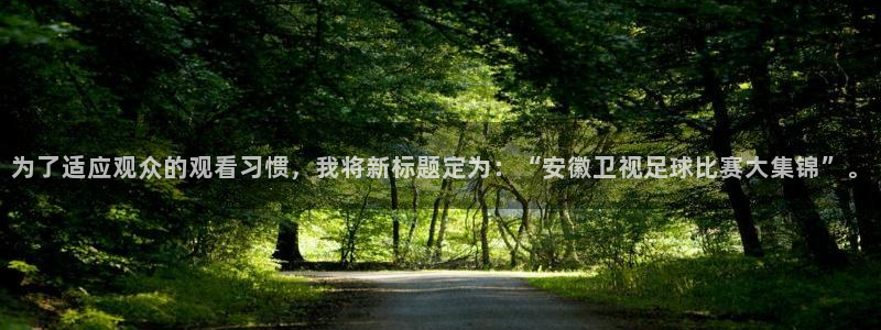 为了适应观众的观看习惯，我将新标题定为：“安徽卫视足球比赛大集锦”。