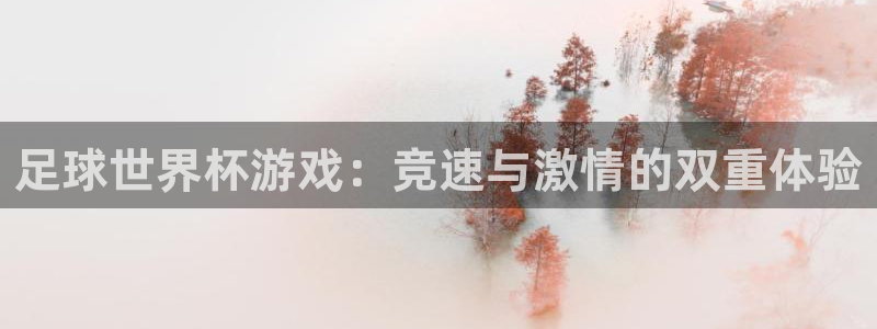 足球世界杯游戏：竞速与激情的双重体验
