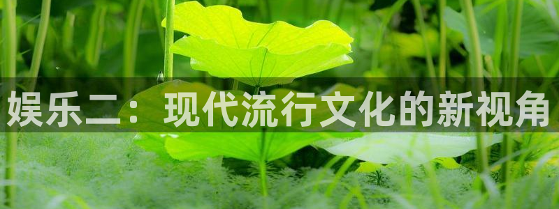 娱乐二：现代流行文化的新视角