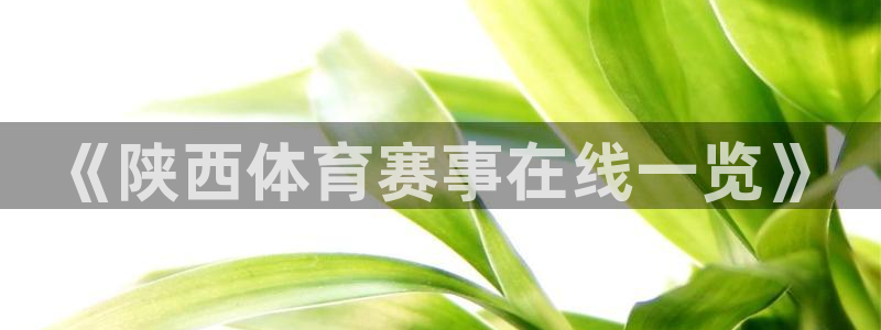 《陕西体育赛事在线一览》