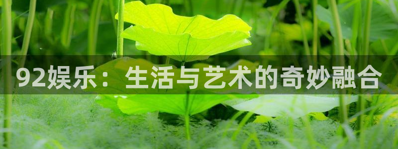 92娱乐：生活与艺术的奇妙融合